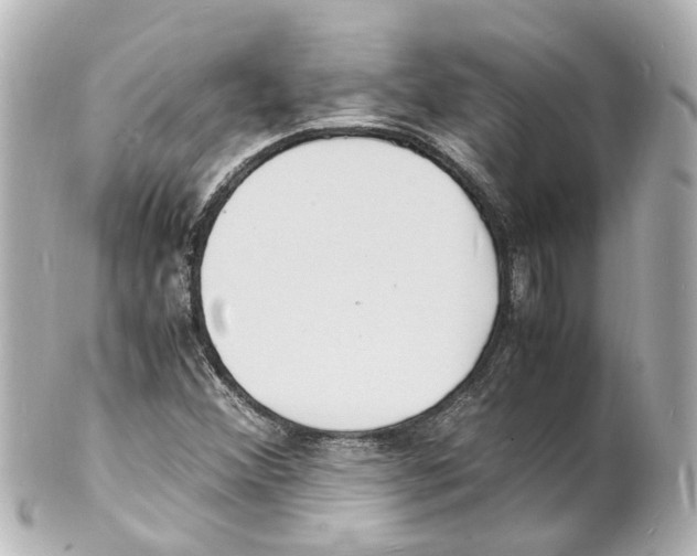 X0000101481356200808041119