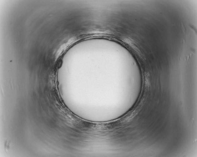 X0000101481357200808041119