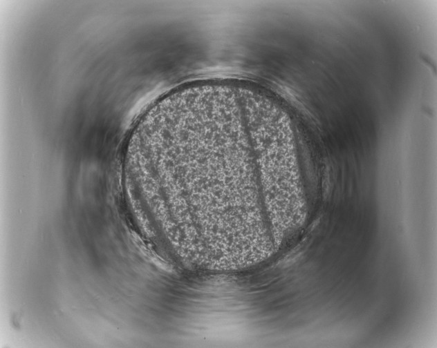 X0000101481358200808041119