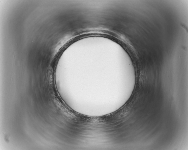 X0000101481360200808041119