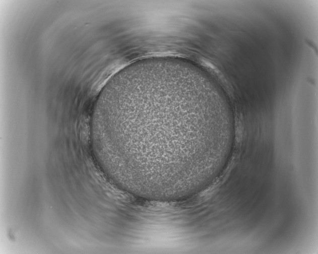 X0000101481361200808041119