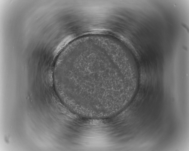 X0000101481362200808041119