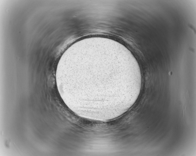 X0000101481363200808041119