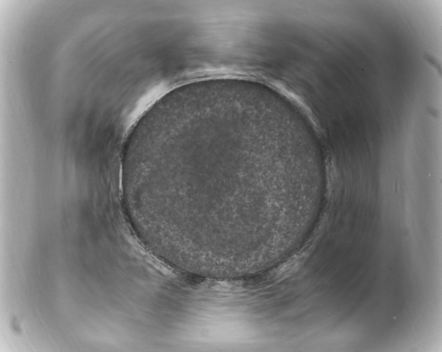 X0000101481365200808041119