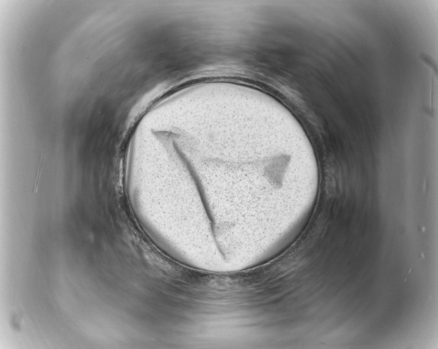 X0000101481366200808041119