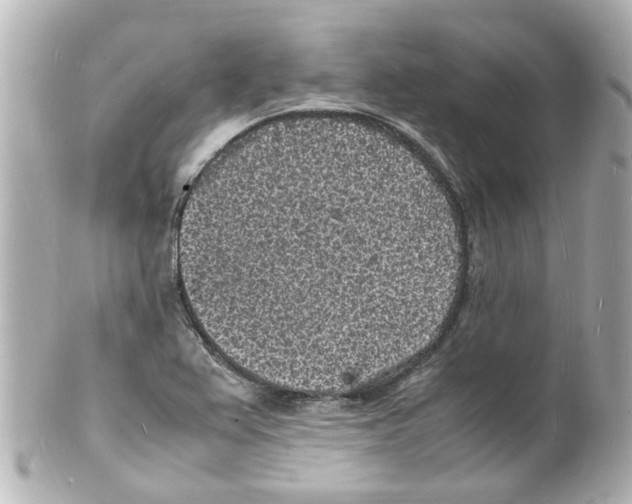 X0000101481367200808041119