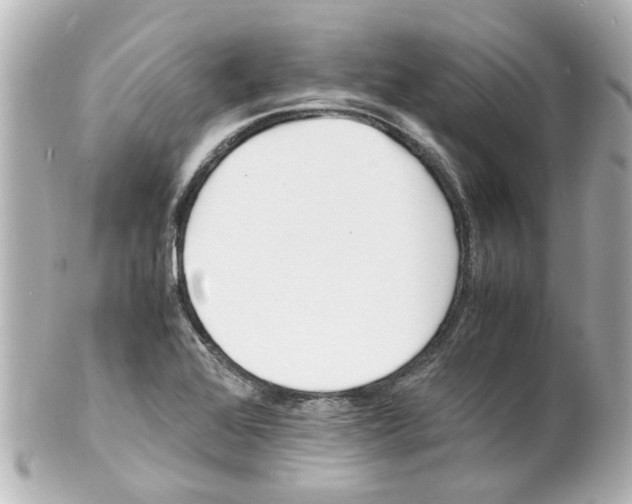 X0000101481368200808041119