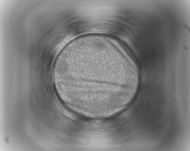 X0000101481371200808041118