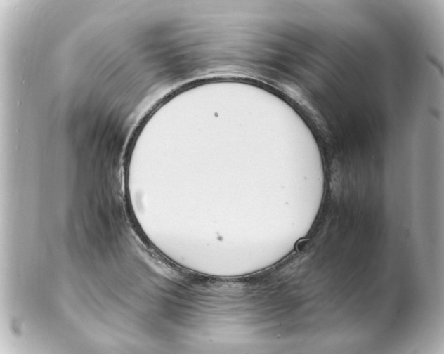 X0000101481372200808041118