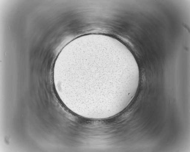 X0000101481375200808041118