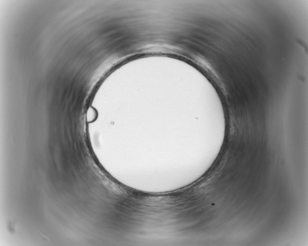 X0000101481376200808041118