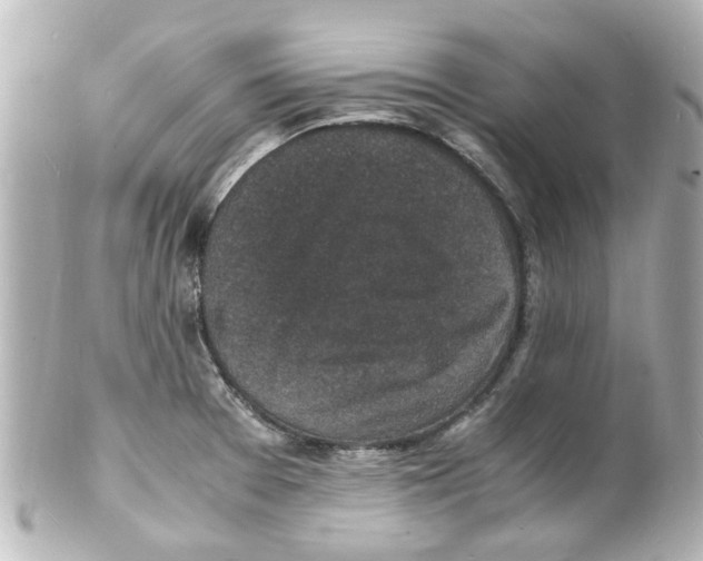 X0000101481377200808041118