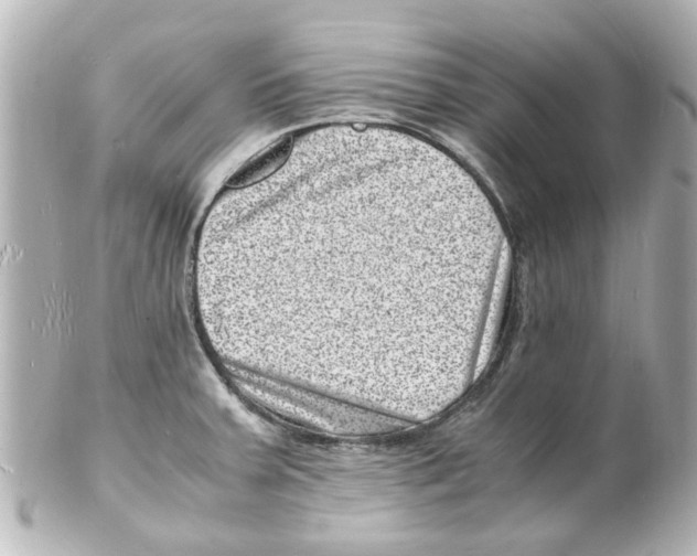 X0000101481379200808041118