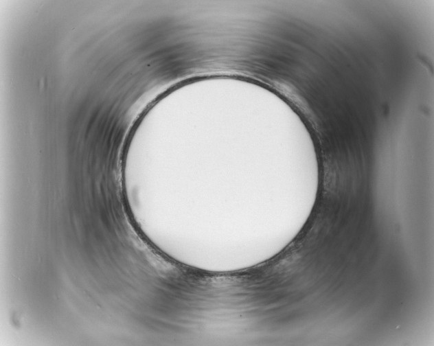 X0000101481380200808041118