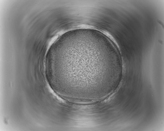 X0000101481381200808041118