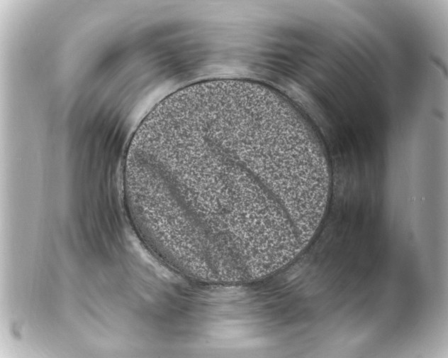 X0000101481382200808041118