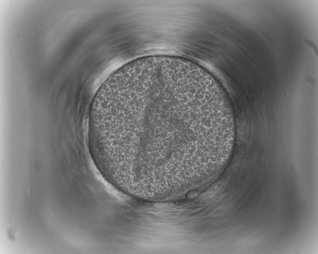 X0000101481383200808041118