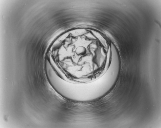 X0000101481384200808041118