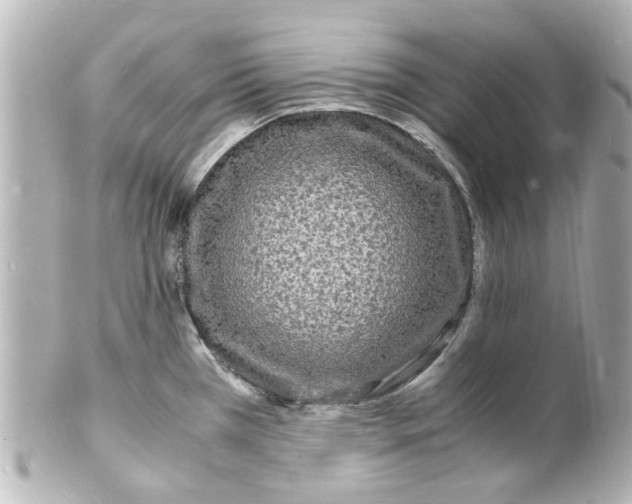 X0000101481385200808041118