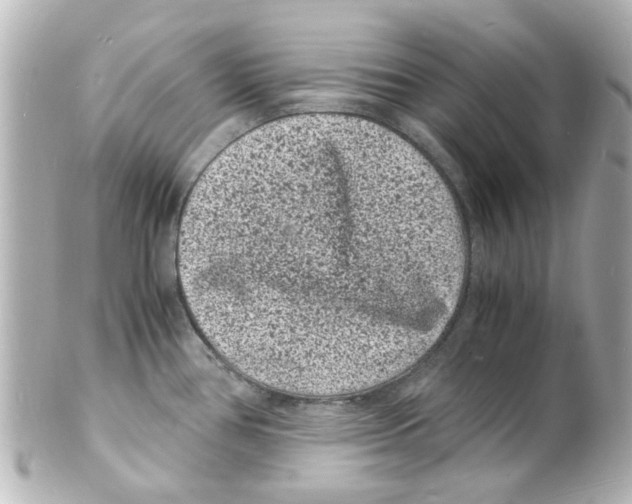 X0000101481386200808041118