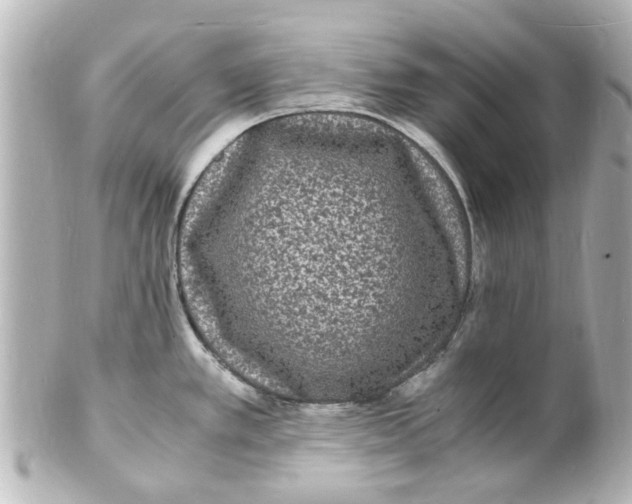 X0000101481389200808041118