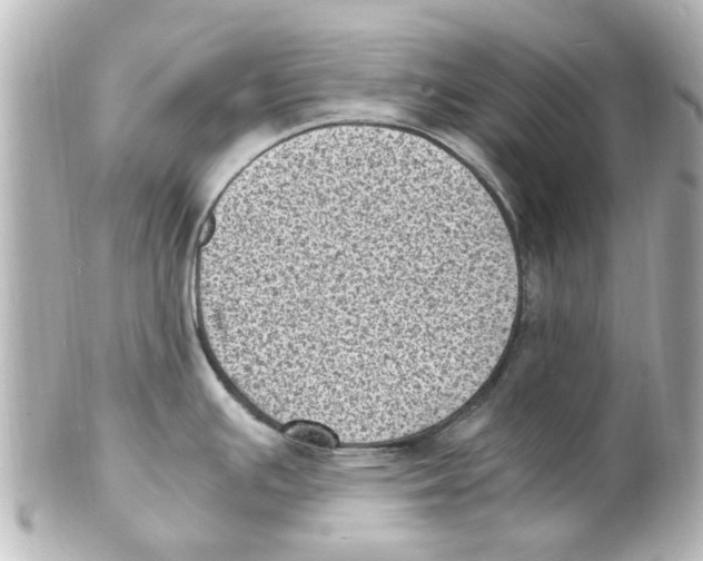 X0000101481391200808041118