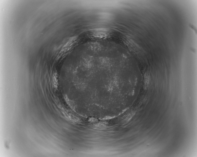 X0000101481394200808041118