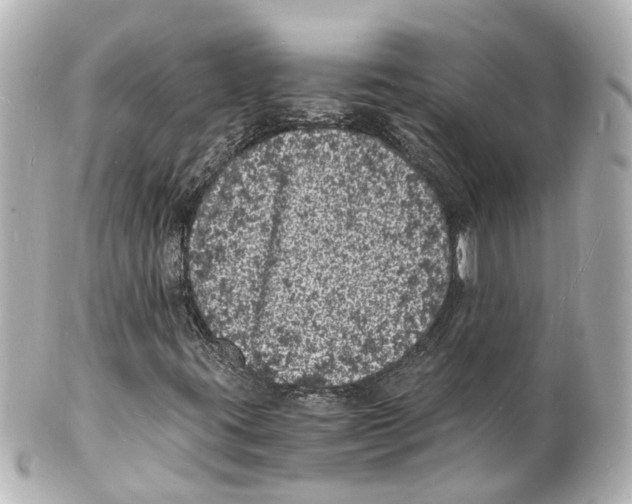 X0000101481395200808041118