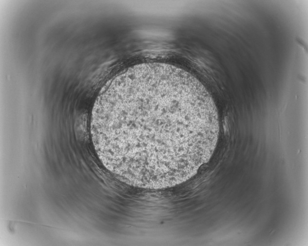 X0000101481396200808041118