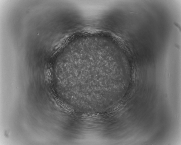 X0000101481397200808041118