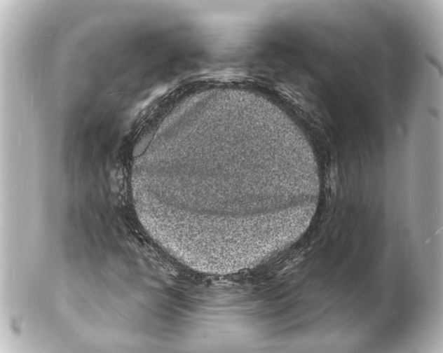 X0000101481398200808041118