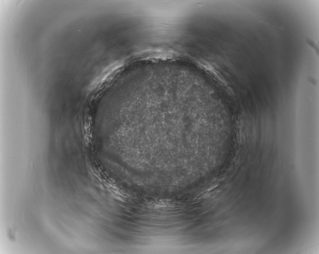 X0000101481399200808041118