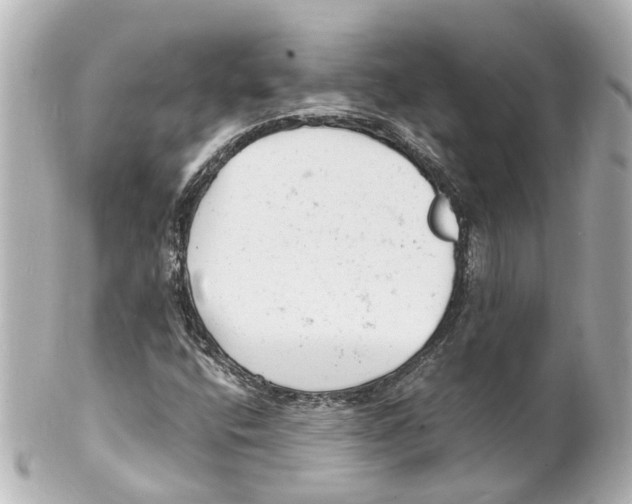 X0000101481400200808041118