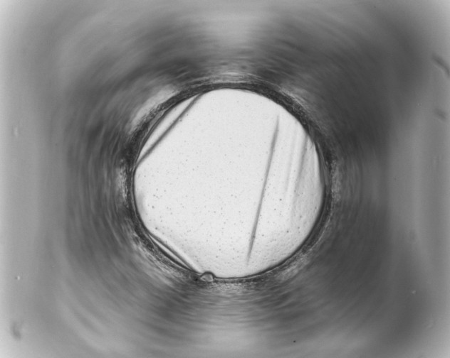 X0000101481402200808041118