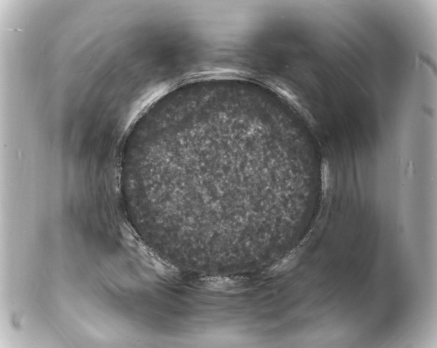 X0000101481405200808041118