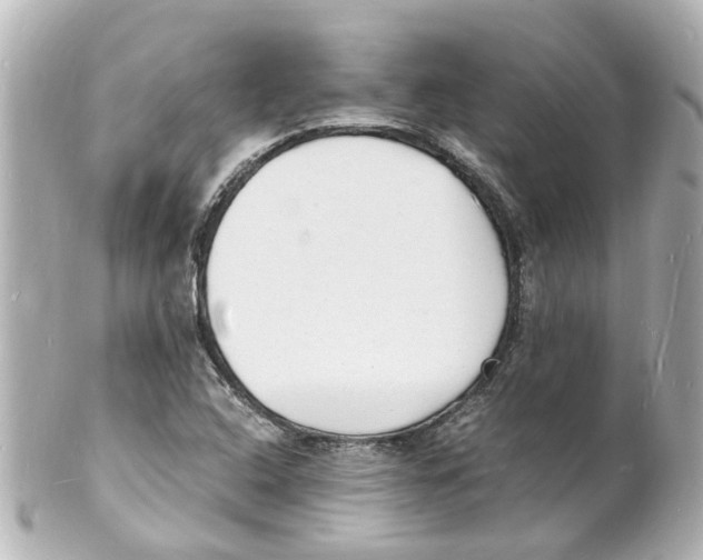 X0000101481408200808041118