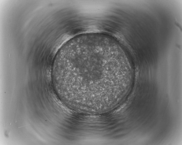 X0000101481409200808041118