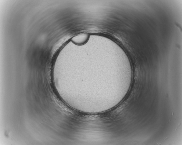 X0000101481410200808041118