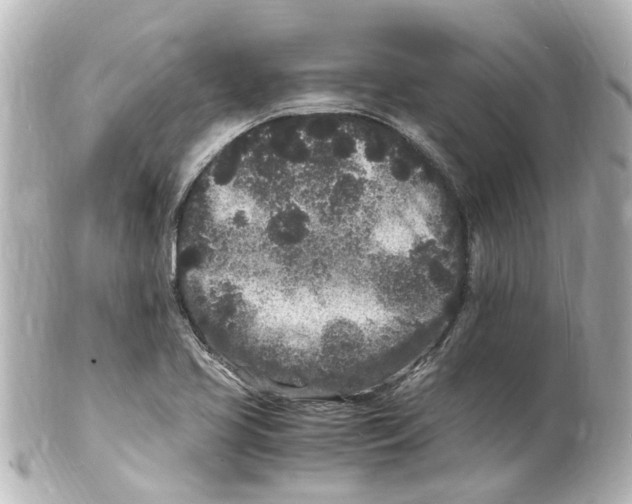 X0000101481413200808041118