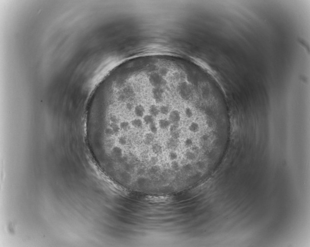 X0000101481415200808041118