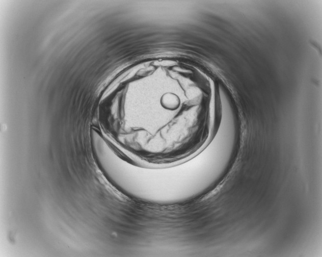 X0000101481417200808041118