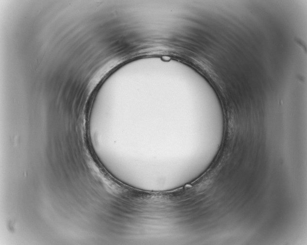 X0000101481418200808041118