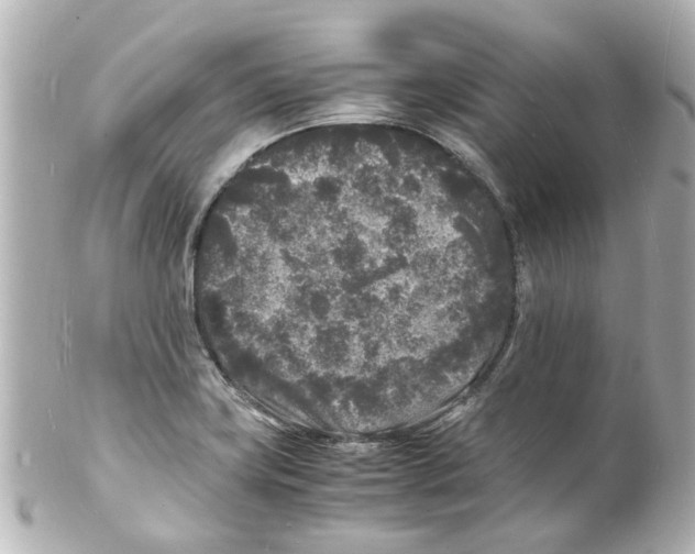 X0000101481419200808041118