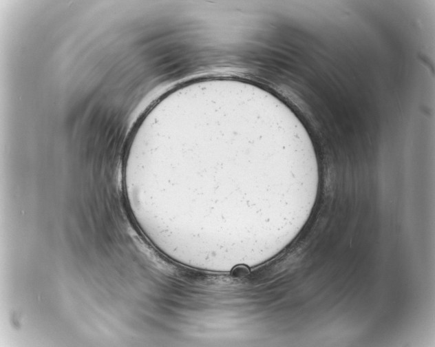 X0000101481420200808041118