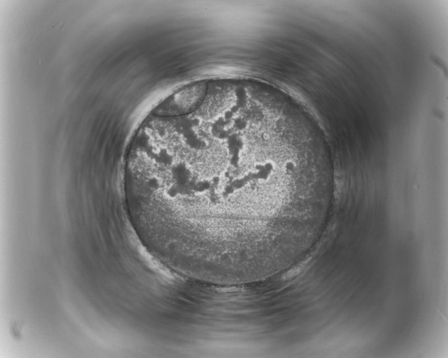 X0000101481421200808041118