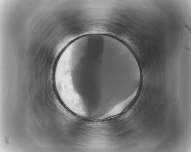 X0000101481422200808041118