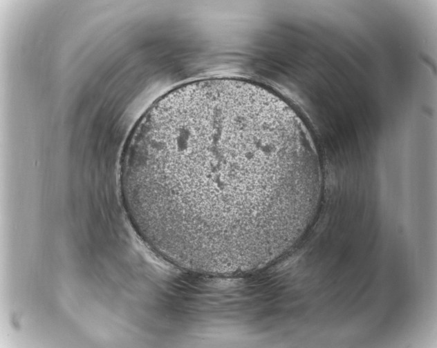 X0000101481423200808041118