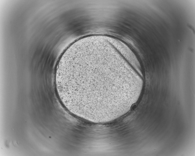 X0000101481424200808041118