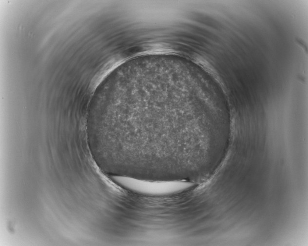 X0000101481425200808041118