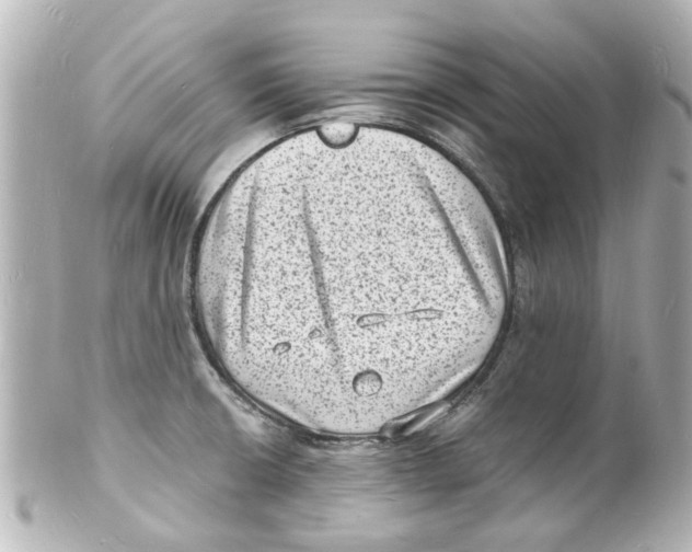 X0000101481426200808041118